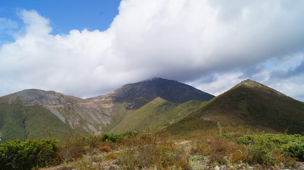 Snowy Mountain. Call of the Tiger National Park