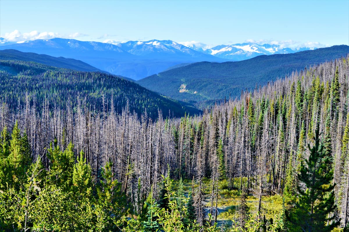 Tweedsmuir Provincial Park
