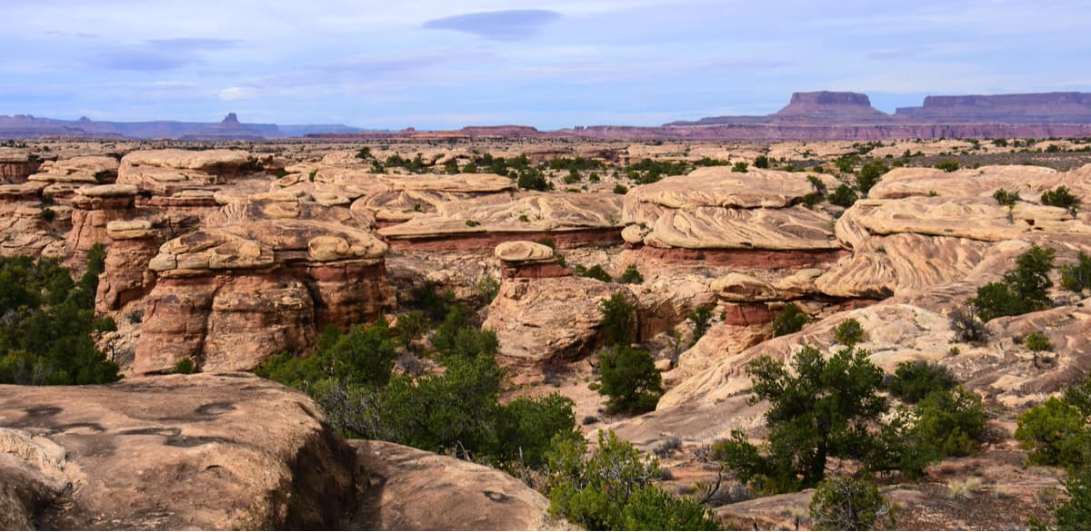 Slickrock. Canyonlands National Park - Needles District