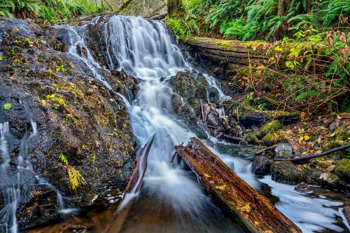Mima Falls Trailhead. Capitol State Forest