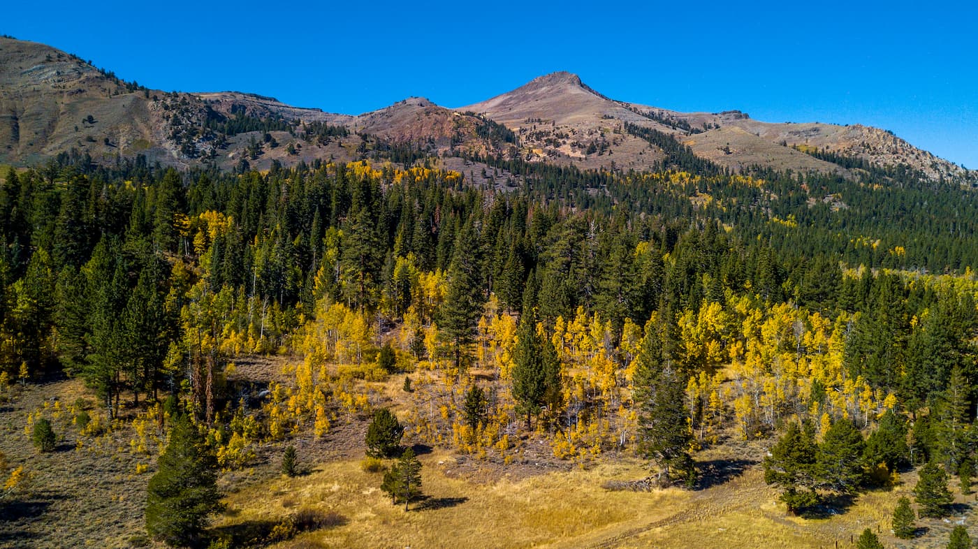 Lake Tahoe,  Carson Trail