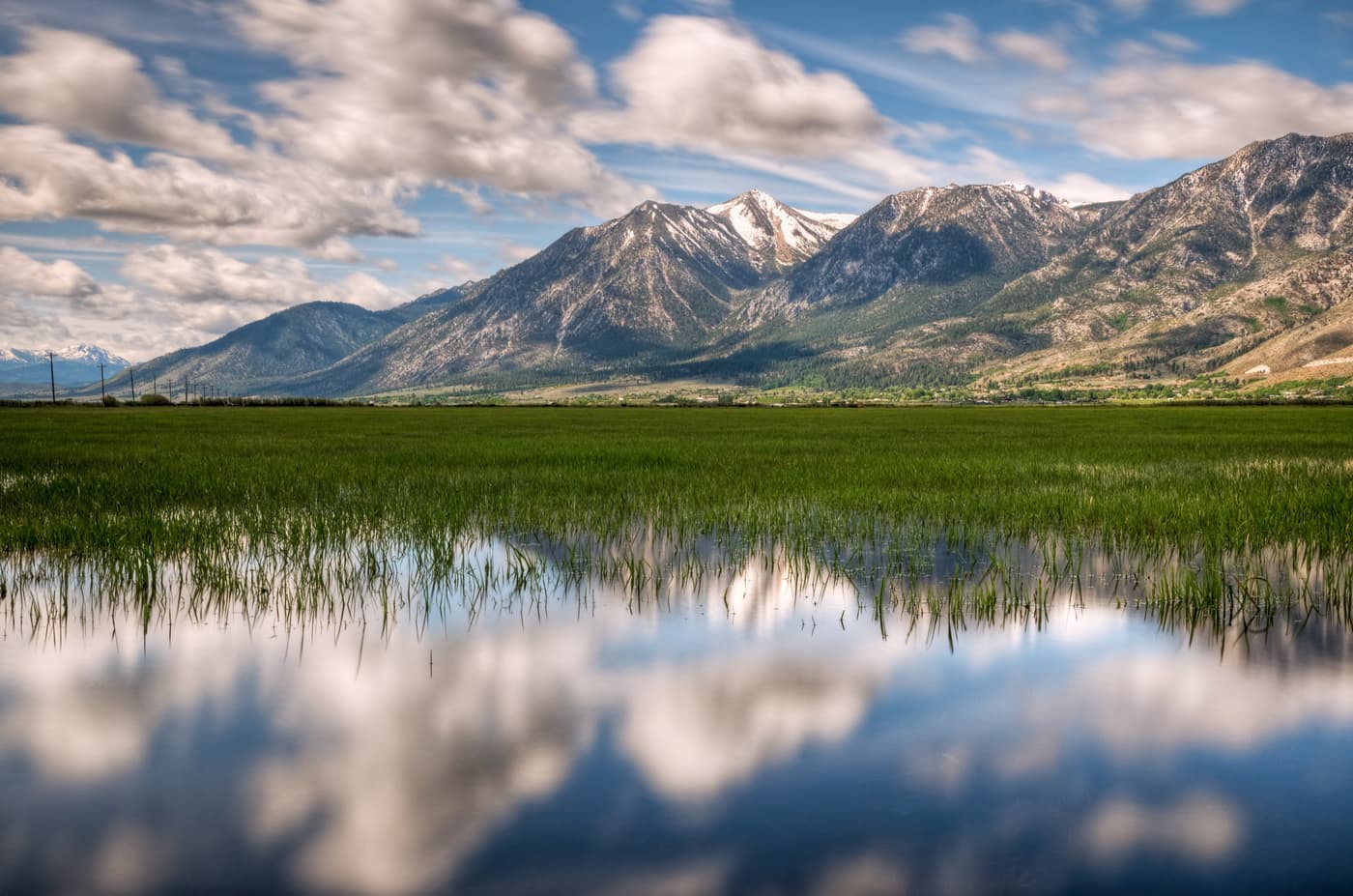 Jobs Peak on the green grass of Carson Valley