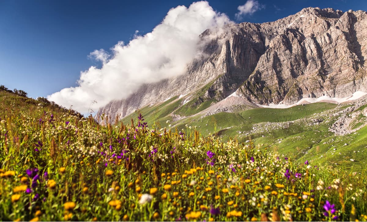 Fisht. Greater Caucasus Range