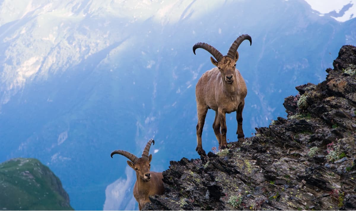Landmarks and Routes. Greater Caucasus Range