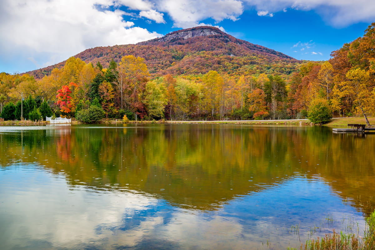 Yonah Mountain. Chattahoochee-Oconee National Forest