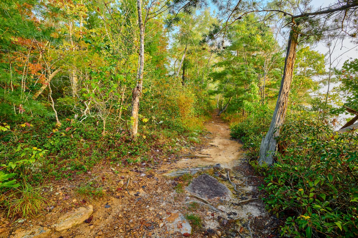 John Muir Recreation Trail, Cherokee National Forest