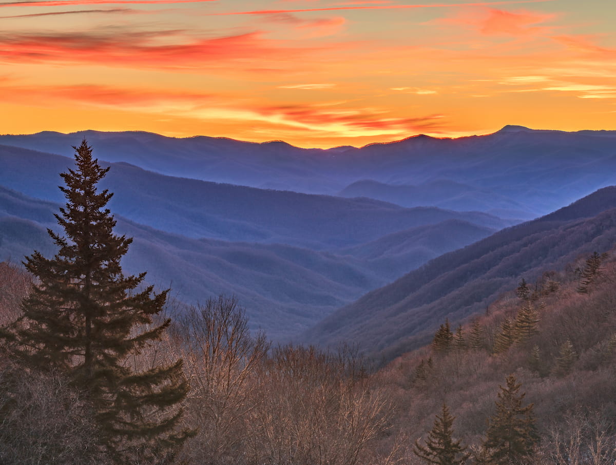 Cherokee National Forest