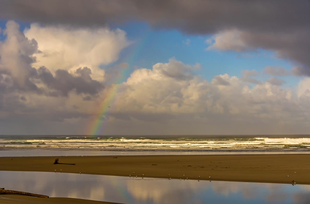 Ecola Creek. Clatsop State Forest