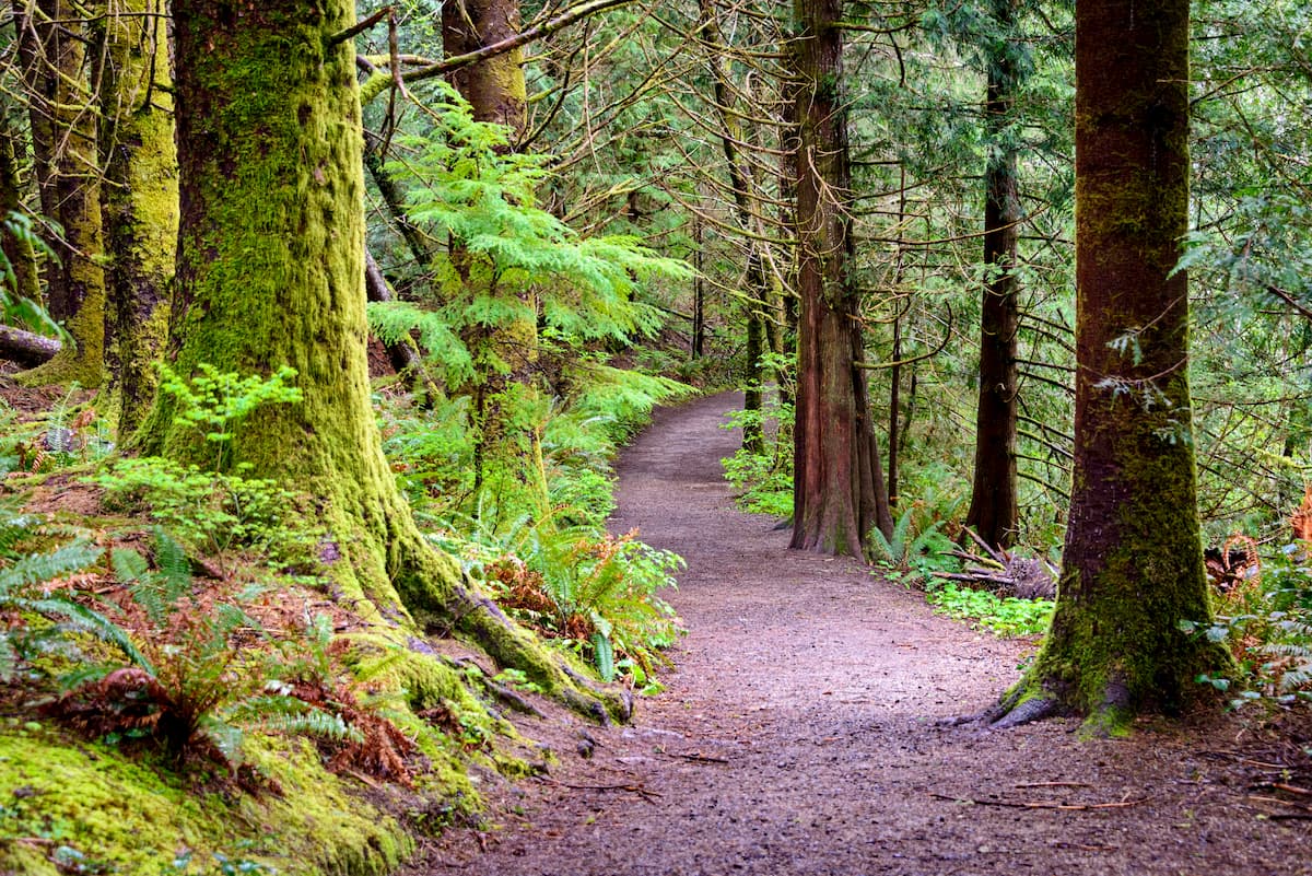  Clatsop State Forest
