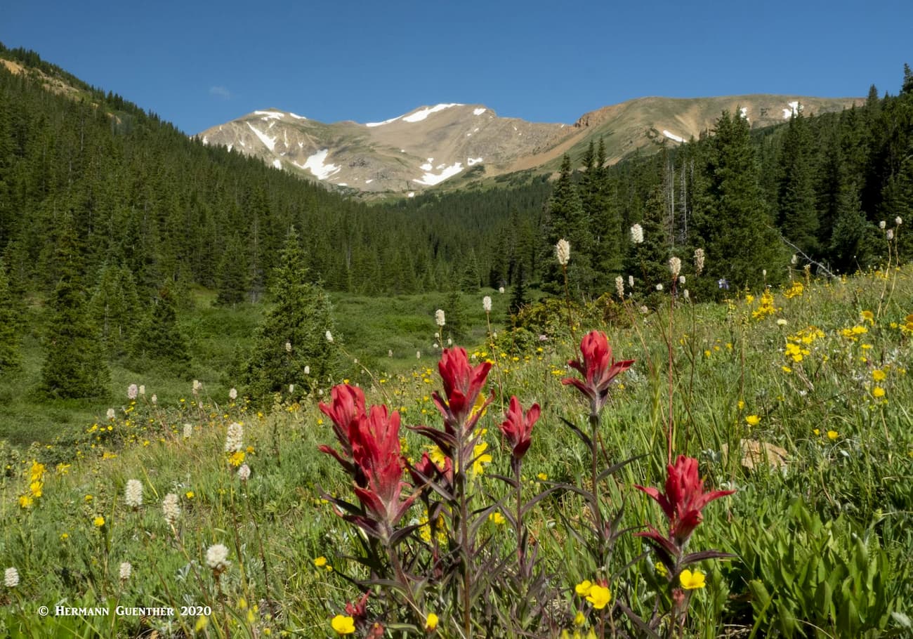 Herman Gulch and Pettingell Peak