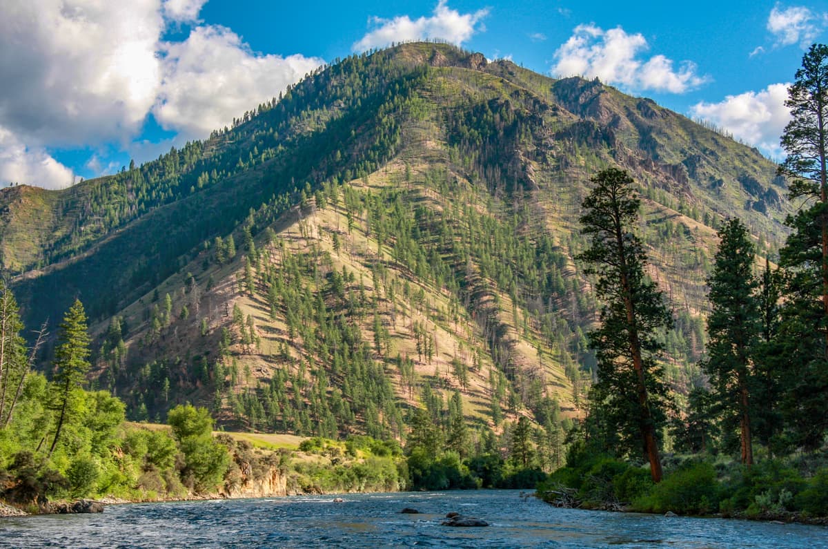 Middle Fork of the Salmon River in the Idaho Mountains