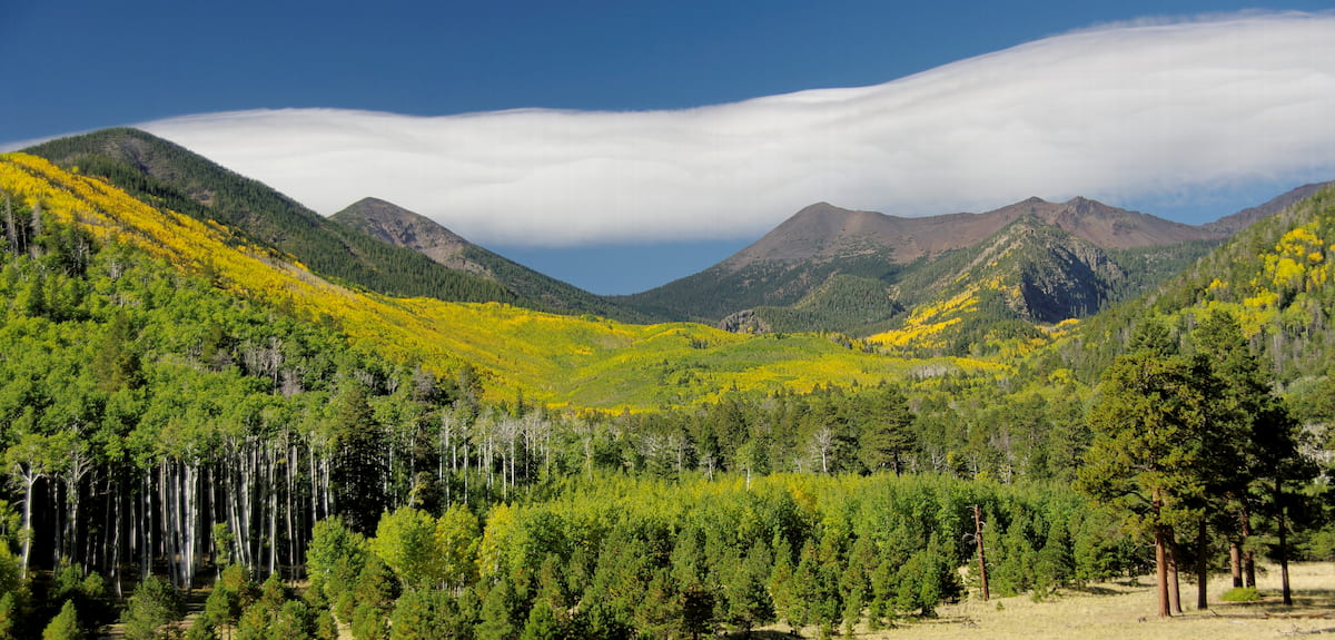 San Francisco Peaks