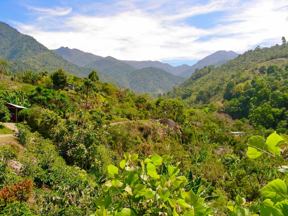Parque Nacional Chirripó. Costa Rica-Panama Ranges