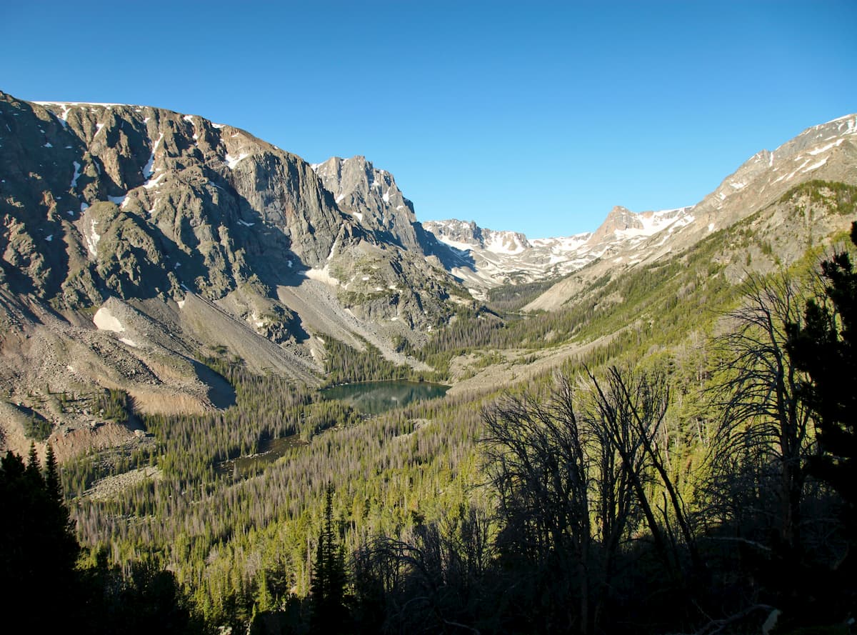 Custer National Forest