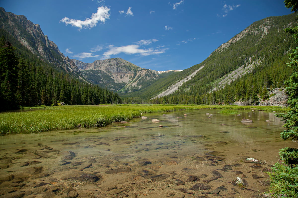 Custer National Forest