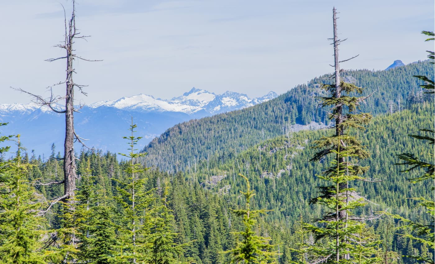 Cypress Provincial Park