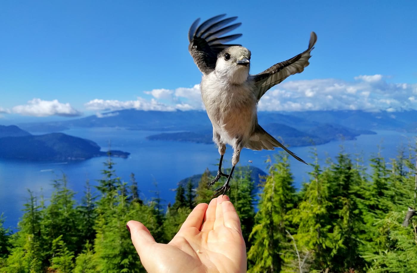 Cypress Provincial Park