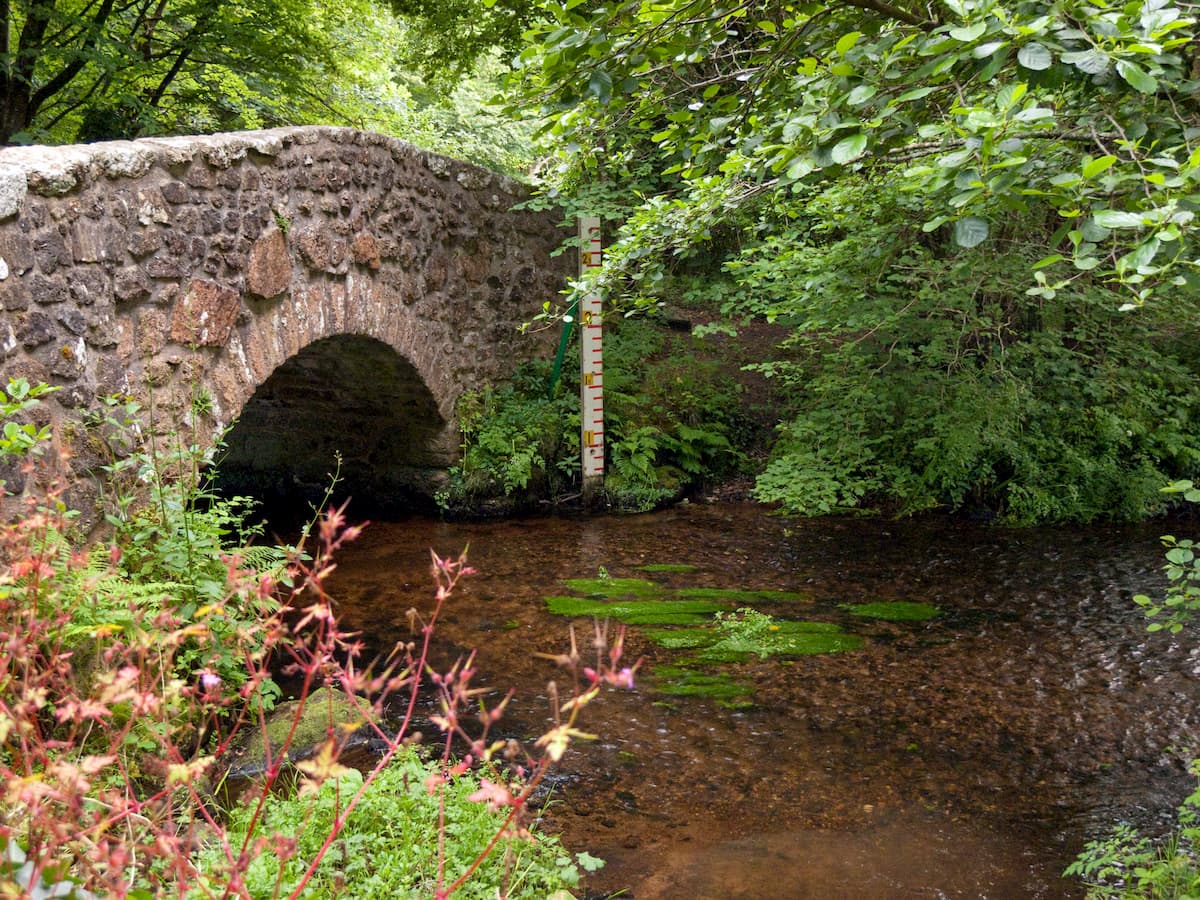 Easdon Tor. Dartmoor National Park