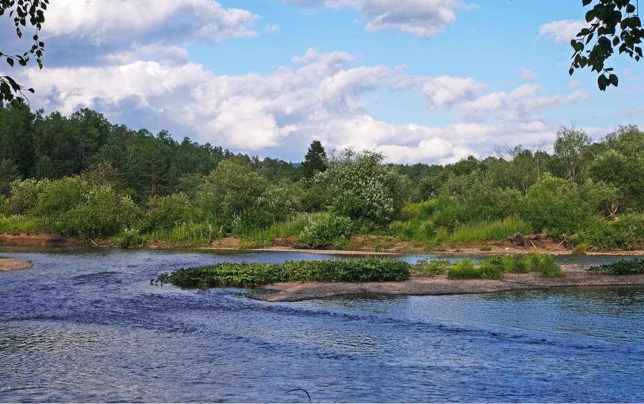 Serga River. Deer Brooks Nature Park