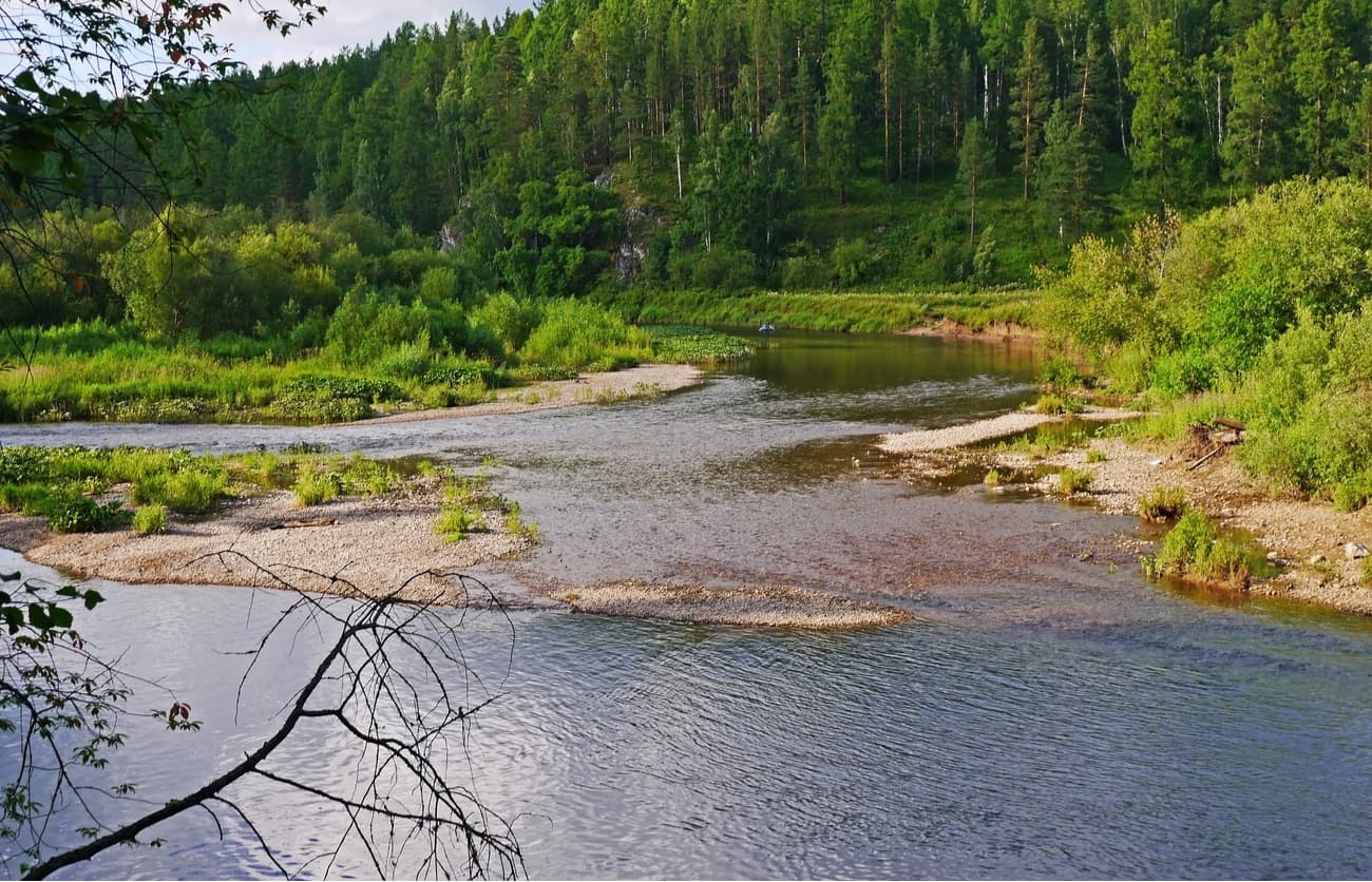 The Serga River. Deer Brooks Nature Park