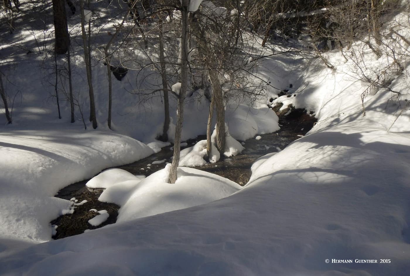 Plymouth Creek. Deer Creek Canyon Park
