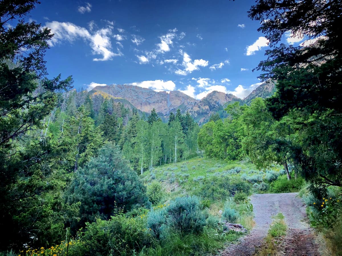 Deseret Peak Wilderness Area