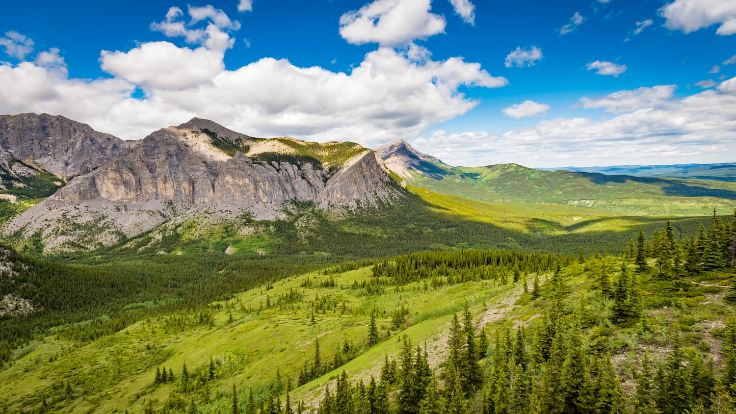 Views from Mount Yamnuska. Don Getty Wildland Provincial Park