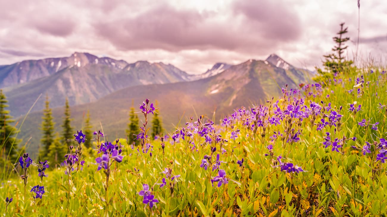 Manning Provincial Park