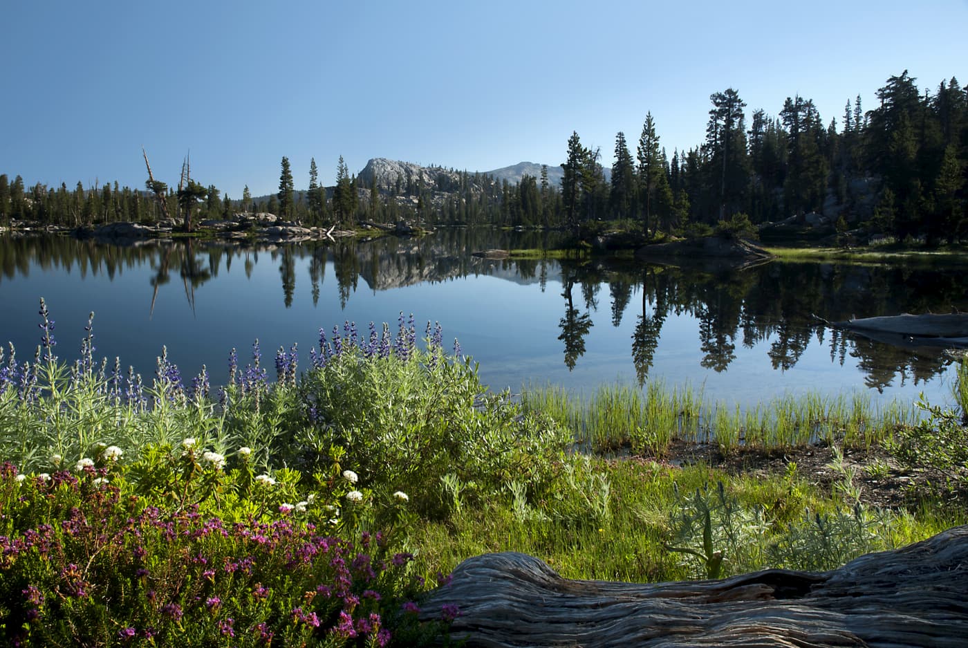 Granite Dome Lakes