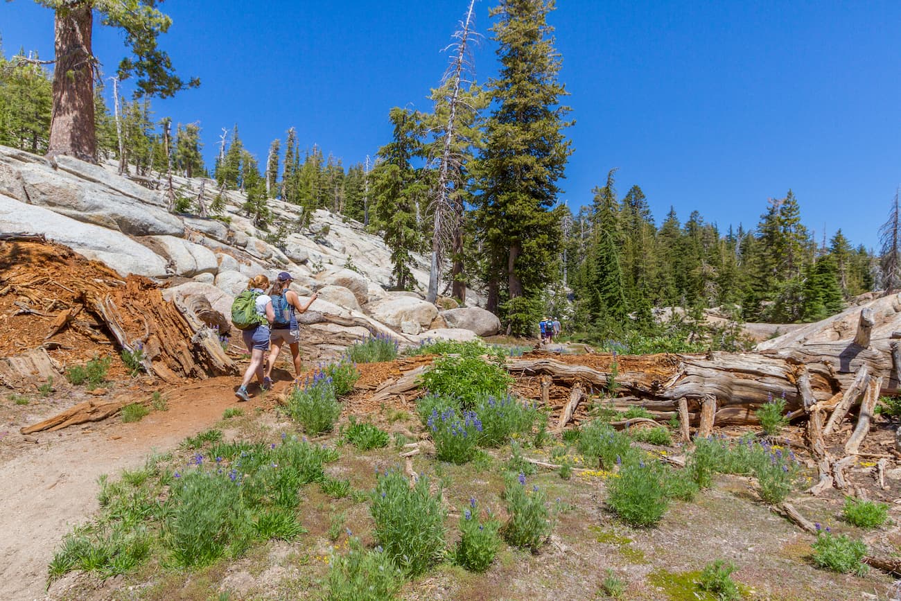 Gianelli Trail from Pinecrest