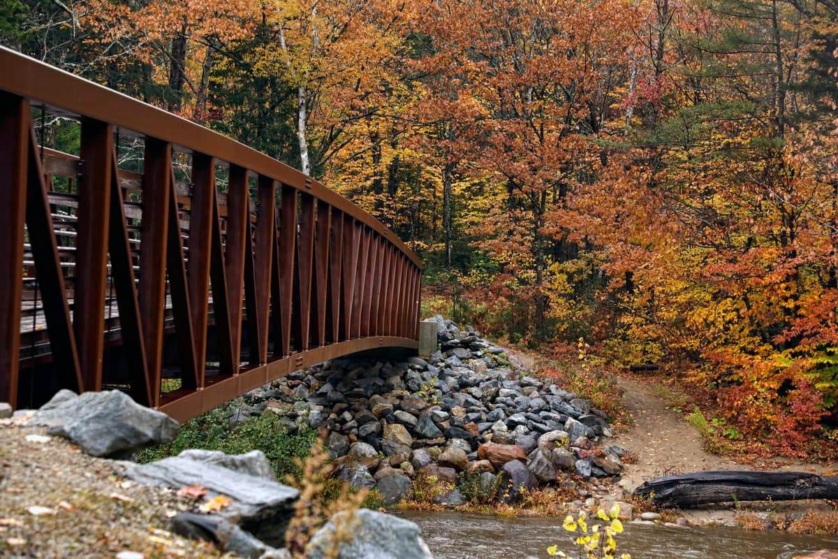 Autumn Colors, Evans Notch