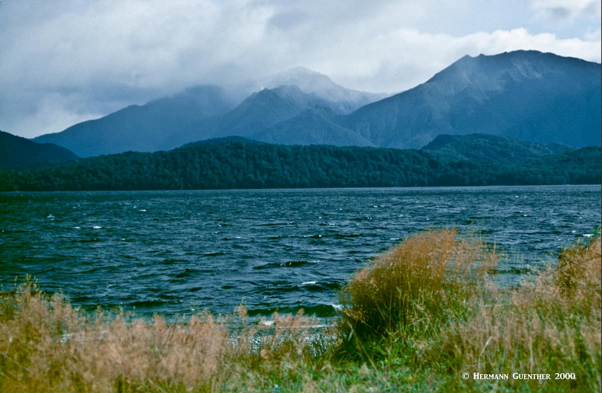 Frasers Beach Track, Lake Manapouri