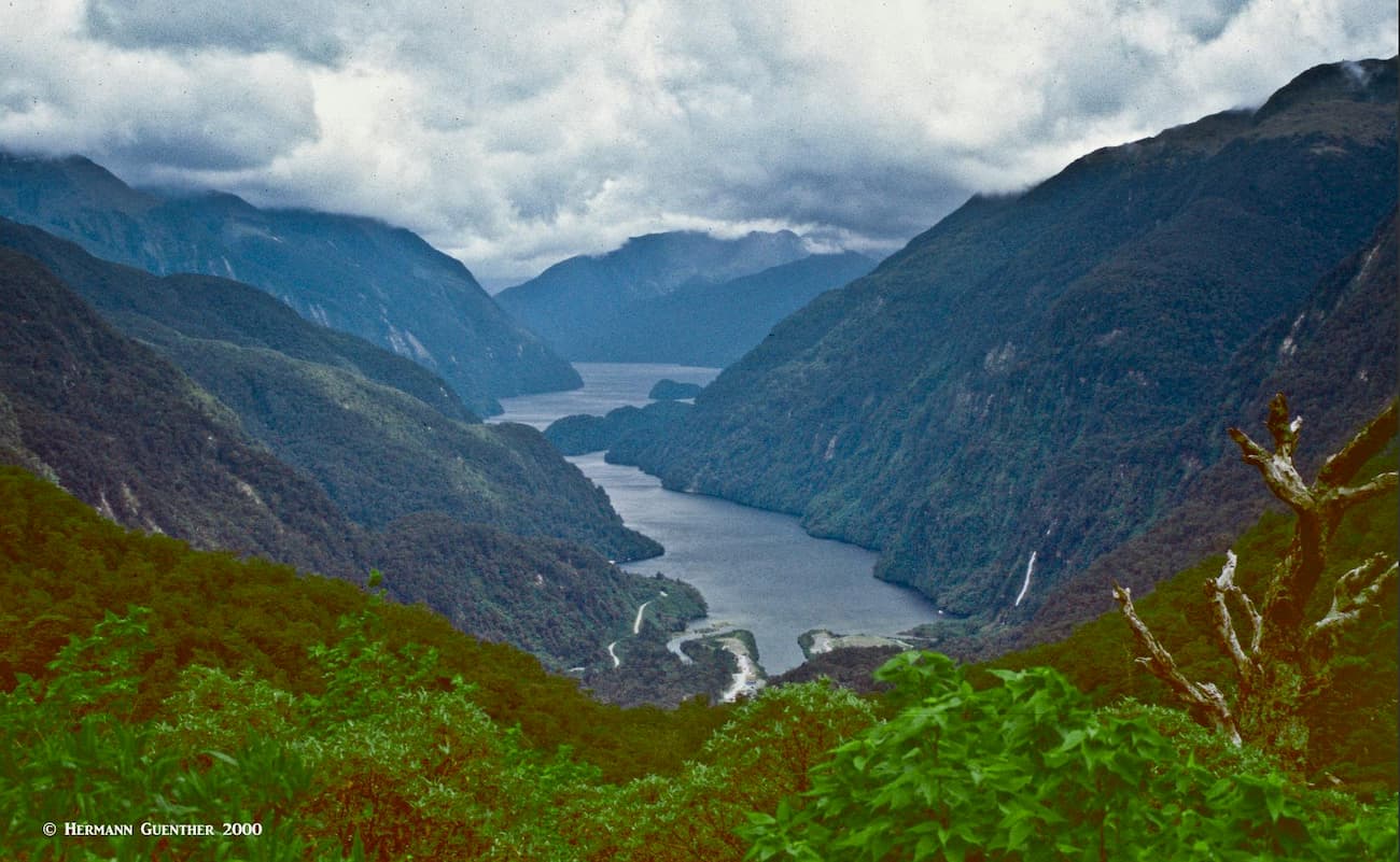 Doubtful Sound from Wilmot Pass