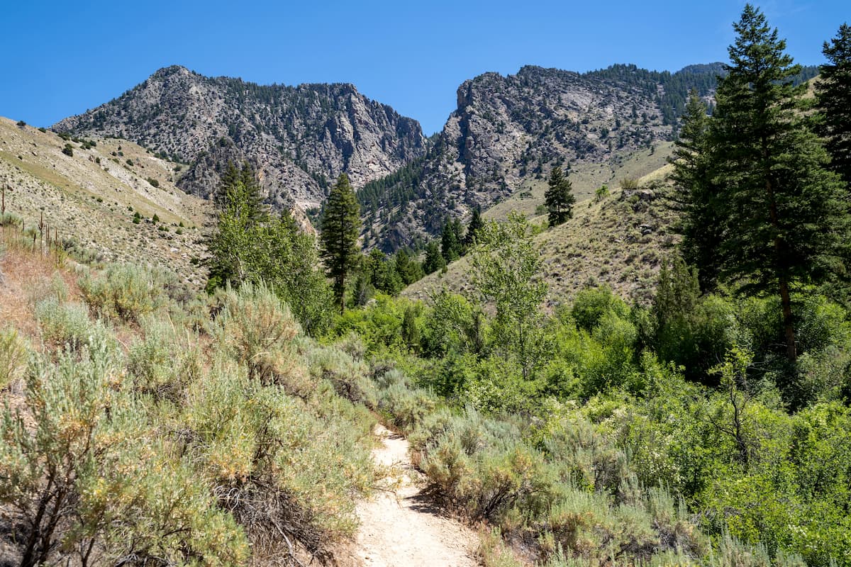Frank Church-River of No Return wilderness