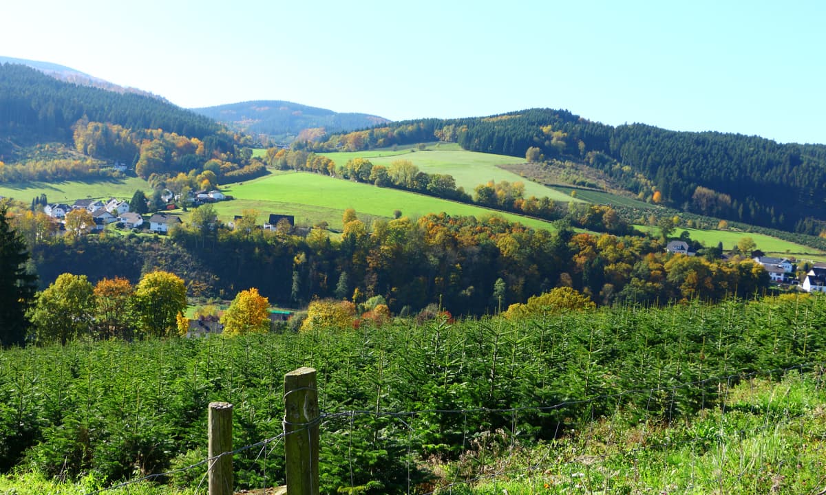 Schmallenberg, Germany