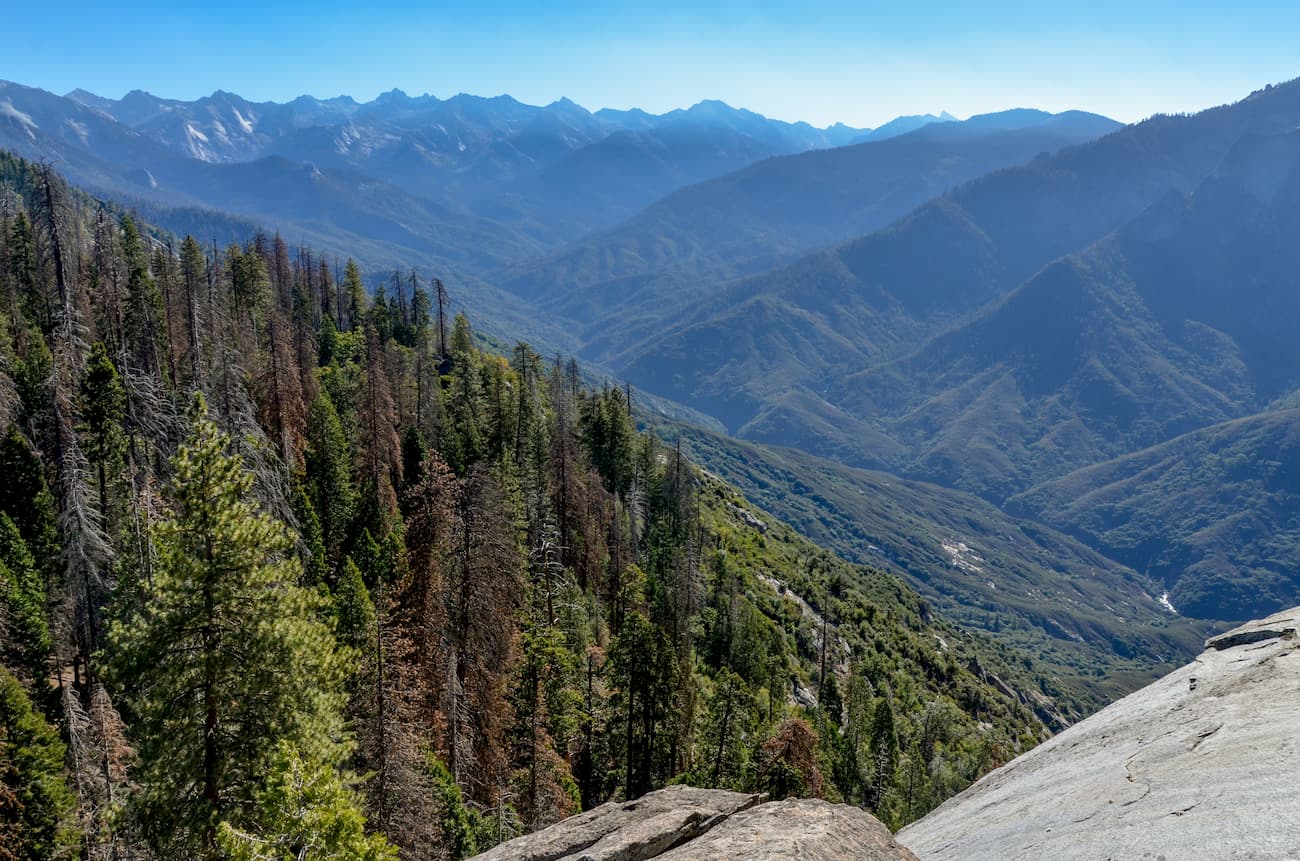 Giant Sequoia National Monument