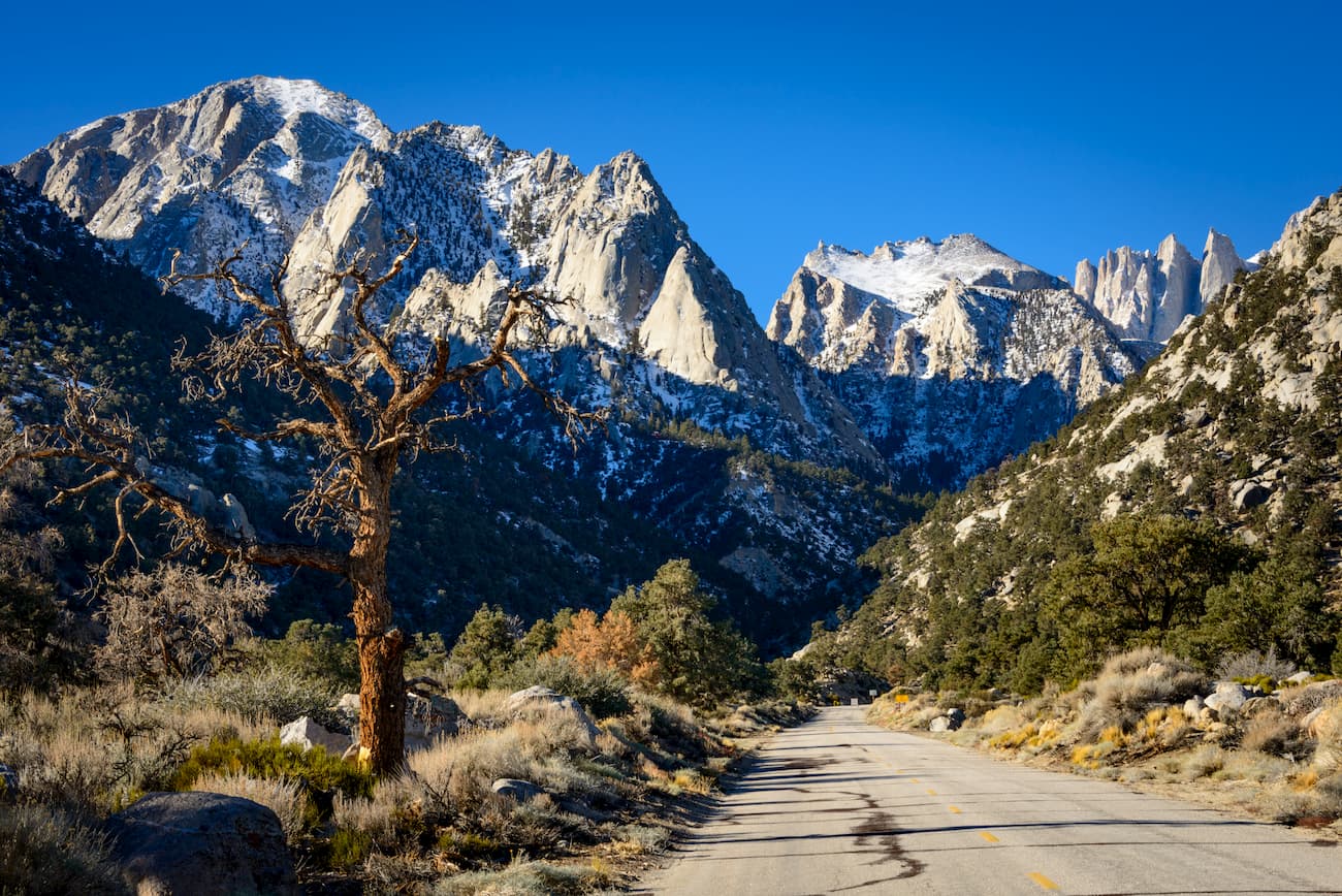 Giant Sequoia National Monument