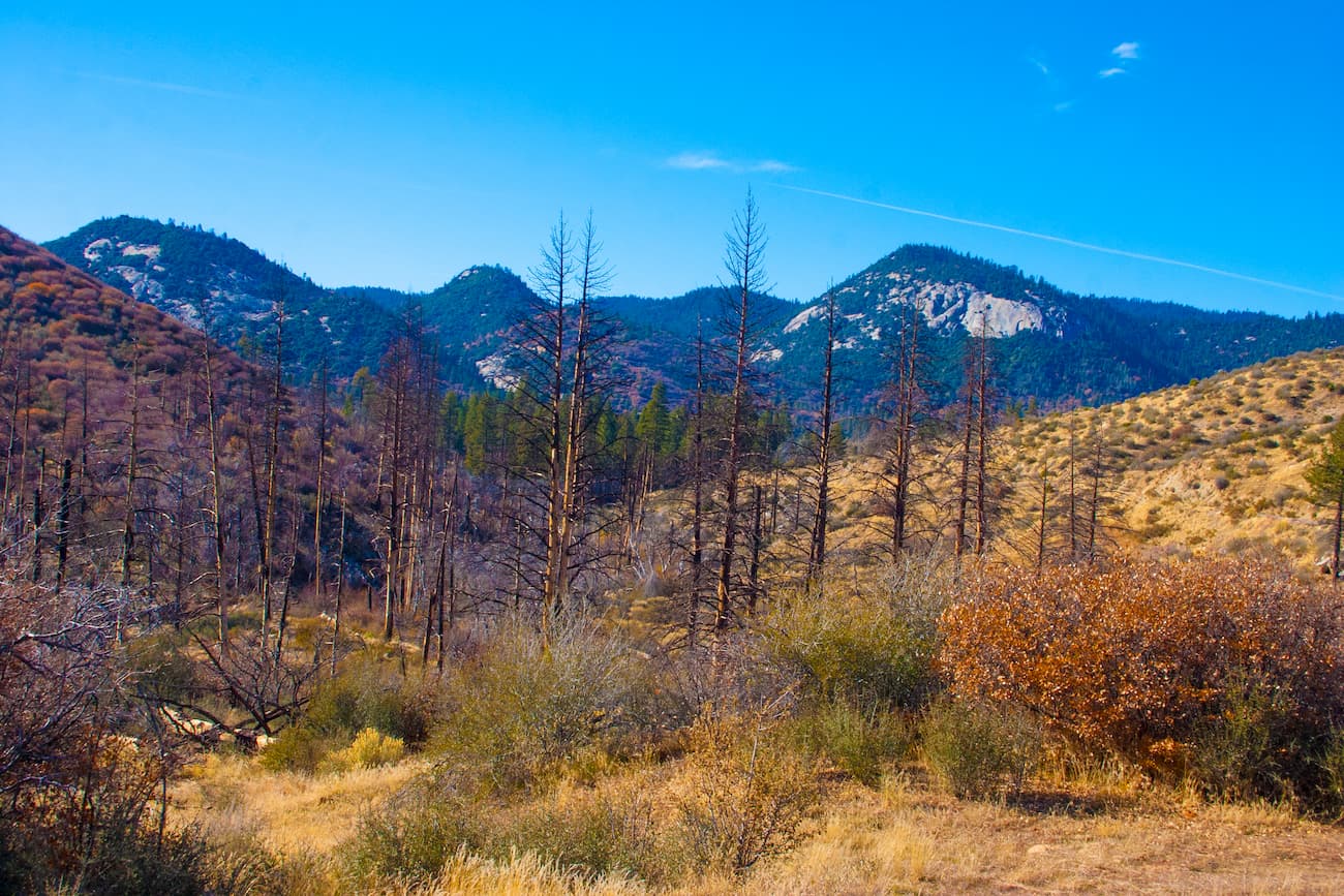 Giant Sequoia National Monument