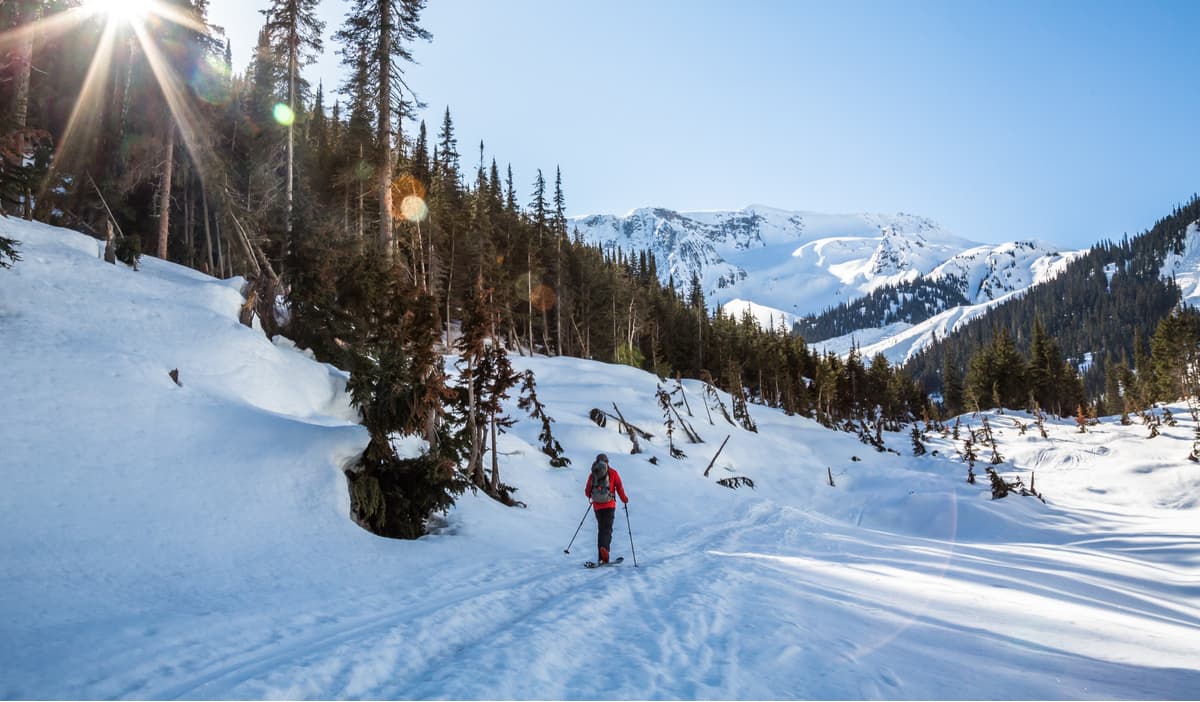 Asulkan Valley Trail. Glacier National Park, Canada