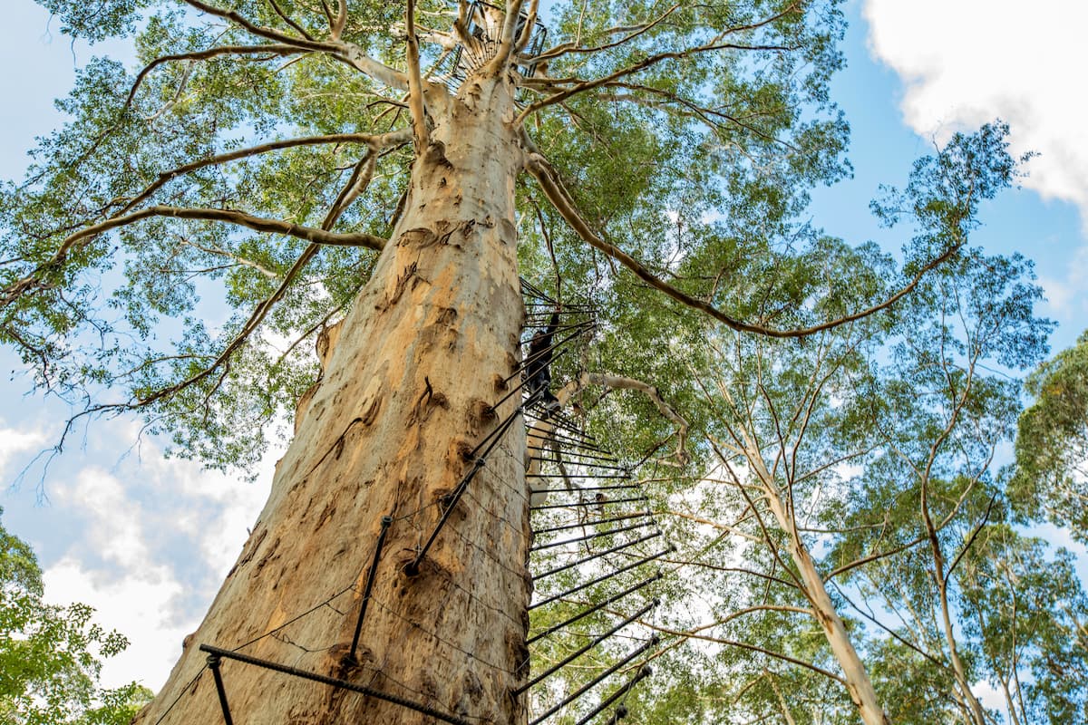 Gloucester Australia