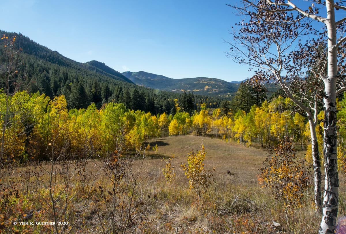 Coyote Trail, Bootleg Bottom. Golden Gate Canyon State Park