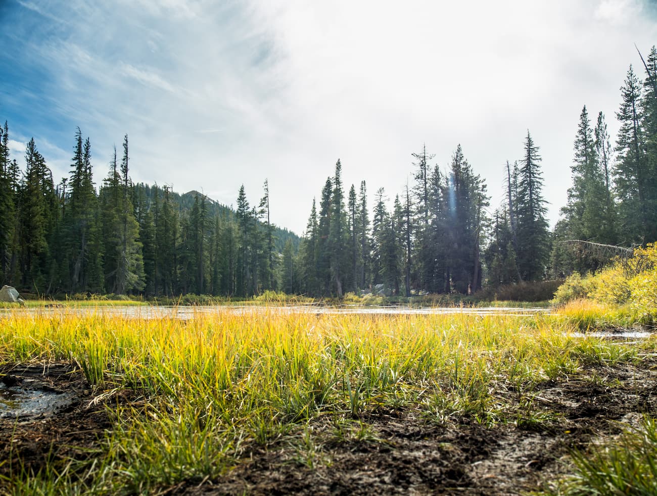 Granite Chief Wilderness