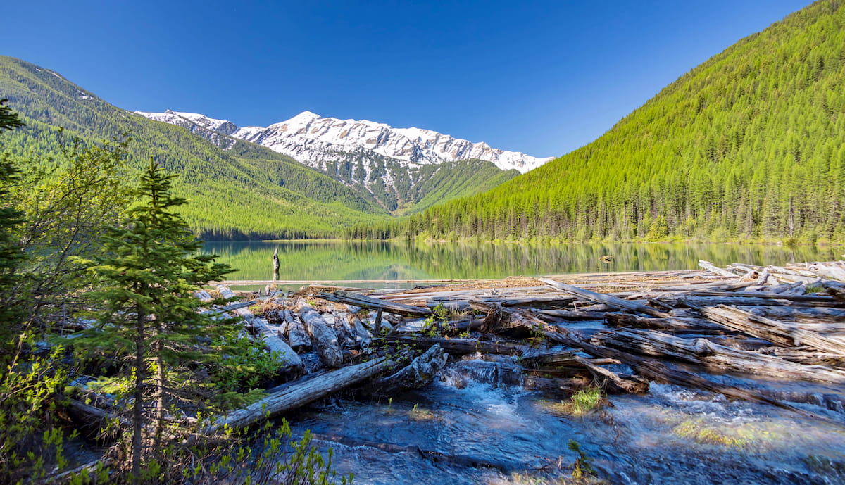 Great Northern Mountain Trail. Great Bear Wilderness Area