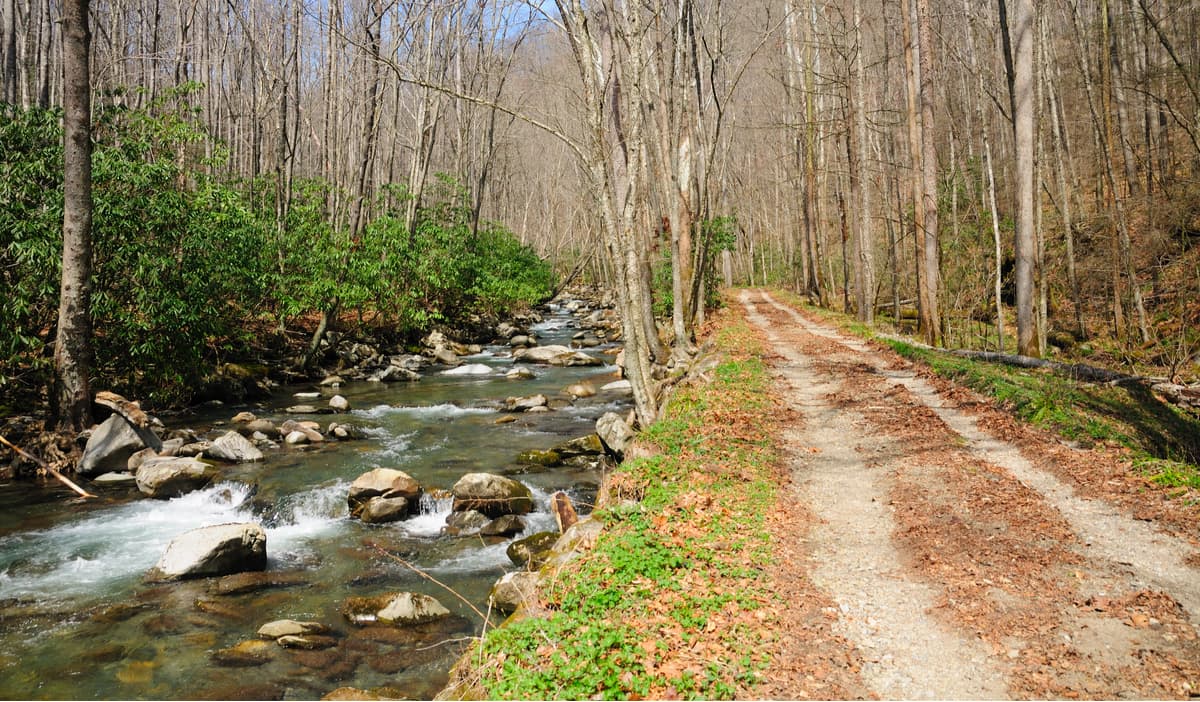 Bradley Fork. Great Smoky Mountains