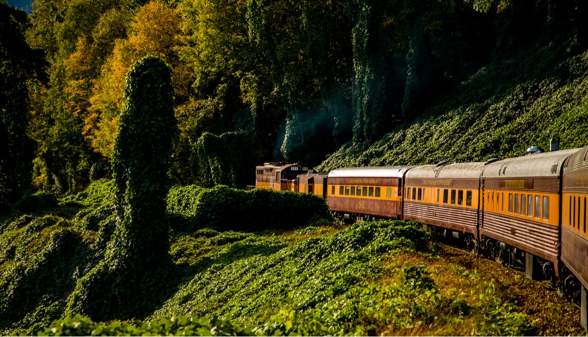 Bryson City freight and heritage railroad.