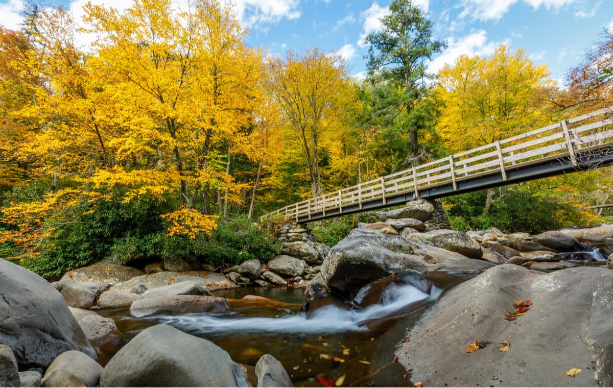 Tennessee Mountains guide by local experts