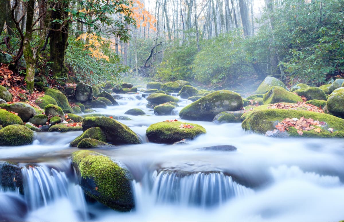 Morning mist with fog and autumn colors Creek