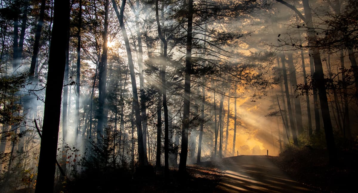 Fire Safety. Great Smoky Mountains National Park