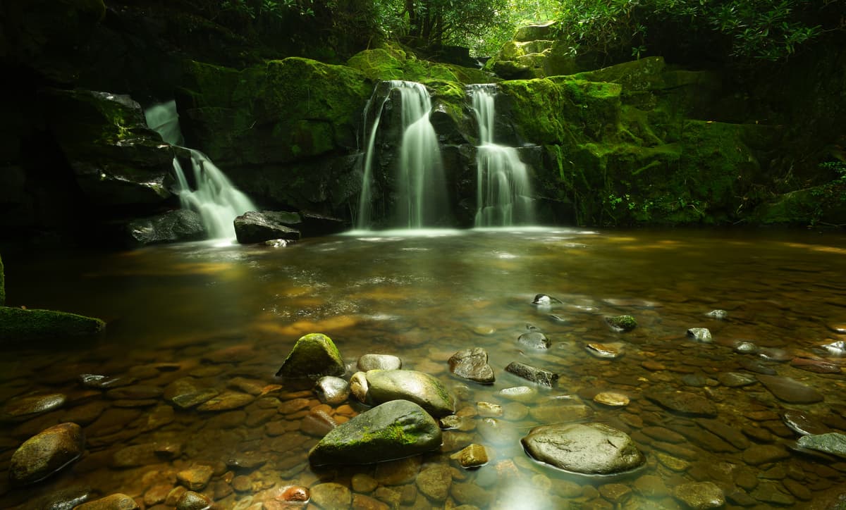 Indian Flats Falls. Great Smoky Mountains