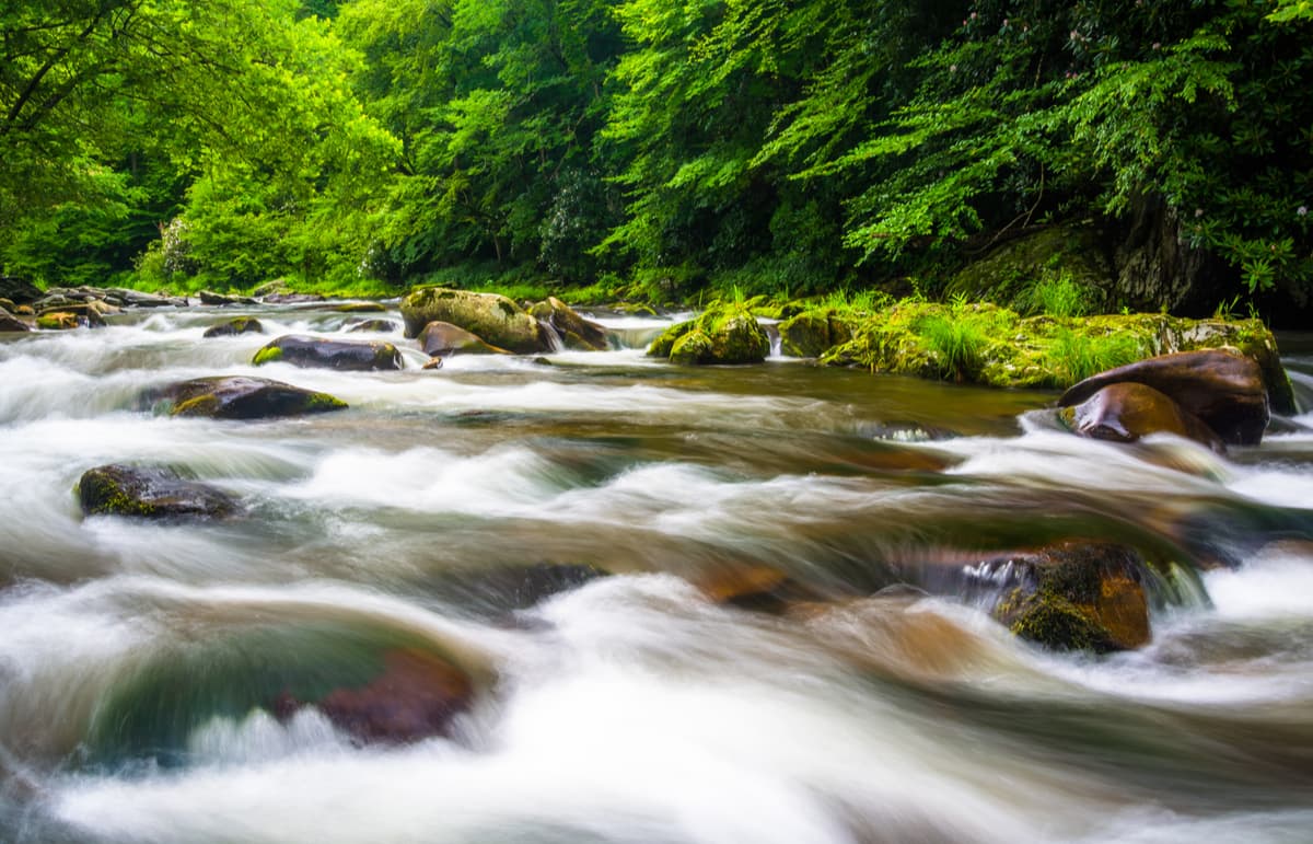 Cascades on Raven Fork, near Cherokee.